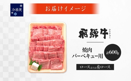 飛騨牛 牛肉 ロース 肩ロース 焼肉用 養老ミート 飛騨牛【計600g】【冷凍】