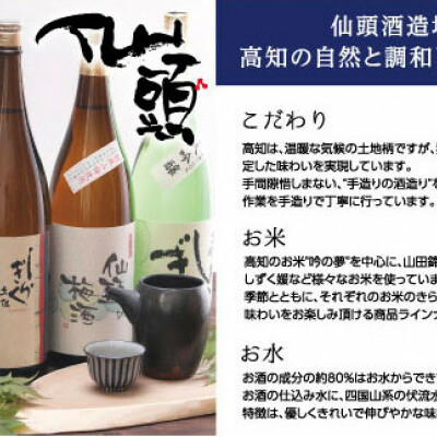 SSJ014　土佐深海 深層水酒 720ml×2本 ＜高知 芸西村 仙頭酒造場 酒 日本酒 土佐 しらぎく海洋深層水仕込み 吟醸酒＞_イメージ3