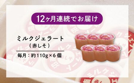 【全12回定期便】沼南ミルクジェラート 赤しそ ６個　アイス  赤しそ  アイス アイスクリーム デザート スイーツ ご当地 広島県福山市/甚ごろう[BAEC041]