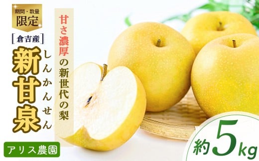 新甘泉 【倉吉産】5kg（アリス農園） 鳥取 梨 果物 フルーツ 和梨 先行予約 数量限定 詰め合わせ 新甘泉 しんかんせん
