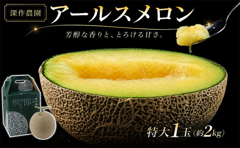 
                  アールスメロン 特大 1玉 2kg メロン めろん 贈答用 ギフト 青肉 フルーツ 果物 甘み プレゼント 国産 茨城県 鉾田市 深作農園  		
                