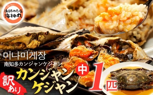 訳あり 南知多カンジャンケジャン カンジャンケジャン 中蟹1匹 ワタリガニの醤油漬け 魚介 魚介類 ワタリガニ 渡蟹  蟹 新鮮 グルメ カニ お米 に合う コメ に合う こめ に合う ご飯 のお供 おすすめ 韓国料理 韓国グルメ ケジャン おいしいカニ  晩酌 肴 おかず そうめん 雑炊 濃厚 内子 海の幸 国産 夕食 万能 まるごと ふるさと納税カニ 自家製ダレ 蟹の旨味 愛知県 南知多