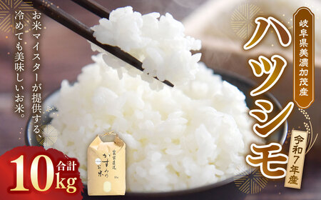 【ふるなびWEEK対象】 令和7年産 お米マイスターが提供 冷めても美味しい 岐阜県美濃加茂産 ハツシモ （ 10kg ） 春見ライス 米 お米 コメ 白米 ライス 国産 国産米 岐阜県 美濃加茂市 常温 送料無料 【2025年12月上旬～2026年7月下旬発送予定】 FN-Limited-PR