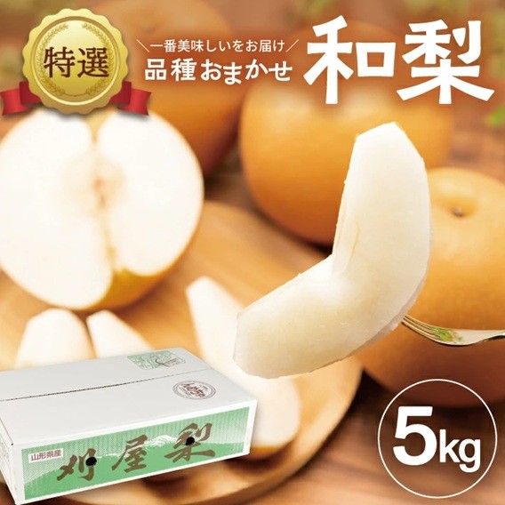 
            酒田産【特選】 和梨 約5kg (9～16玉入) 品種おまかせ : 晩生種 あきづき梨 南水梨 新興梨 大天梨 甘太 王秋 SB0720
          