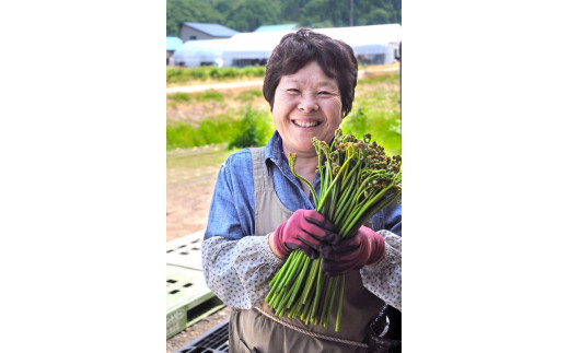 【受付5/31迄】やまに農産【西わらび】朝採り「煮わらび」150ｇ×5パック（限定30セット）
