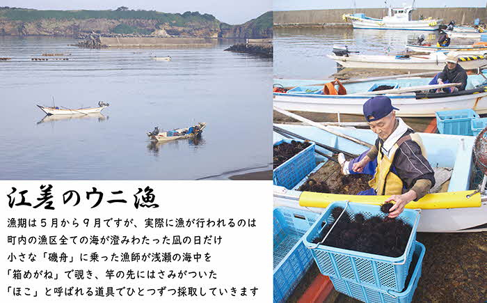 北海道 江差前浜産 生うに 200g（100g×2パック）【無添加・みょうばん不使用】江差産天然キタムラサキウニ　日本海熊石産海洋深層水　塩水ウニ　素材を生かした自然の味　国産うに　雲丹　100グラム