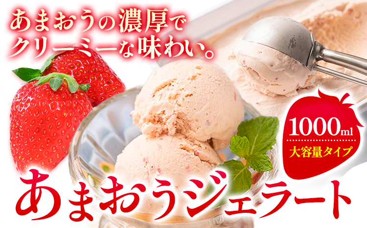 あまおうジェラート 1000ml 南国フルーツ株式会社《30日以内に出荷予定(土日祝除く)》福岡県 小竹町 あまおう いちご ジェラート 果物 送料無料---sc_fnngkzr_30d_24_140