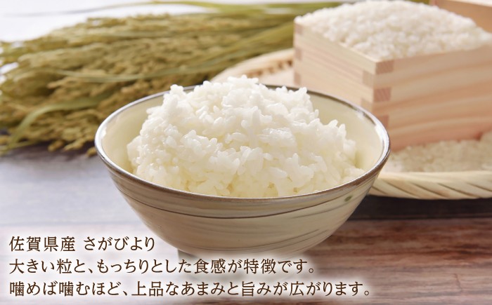 米 5kg お米 おこめ ふるさと納税 さがびより 佐賀県産 精米したて 白米