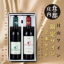 【ふるさと納税】食の都庄内　月山ワイン「限定ワイン」2本セット（庄内たがわ農業協同組合）