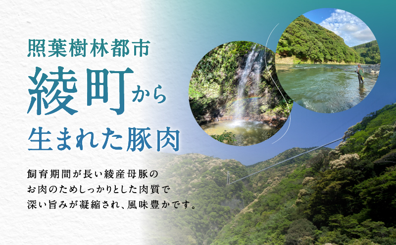 宮崎県 綾町産〈豚肉小間切れ&ミンチ セット 7kg〉 500g×14パック 国産 ブランド豚 小分け 冷凍 豚こま 挽き肉 カレー そぼろ 肉団子 生姜焼き ハンバーグ 餃子 炒め物 おかず 弁当 