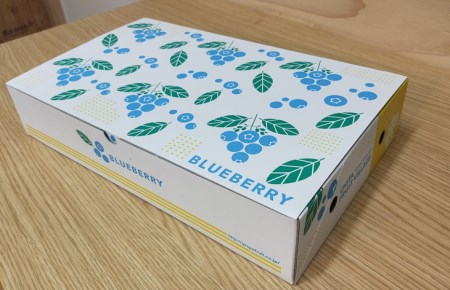 採れたて！大粒系ブルーベリー　100g×6パック ※2024年5月初旬～7月上旬頃に順次発送予定
