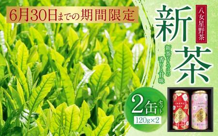 Y26-18 新茶 八女星野茶 120g×2本