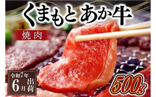〈令和7年6月出荷〉熊本県産ＧＩ認証取得　くまもとあか牛（焼肉用５００ｇ）