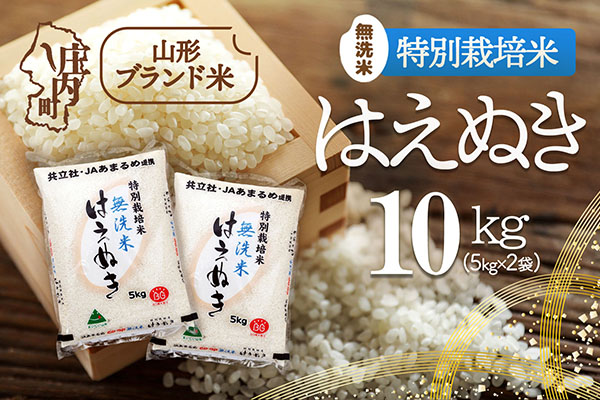 庄内町産 特別栽培米はえぬき無洗米 10kg 5kg×2袋 令和7年産 2025年産 ブランド米 コシヒカリの原点、亀の尾発祥の地 庄内