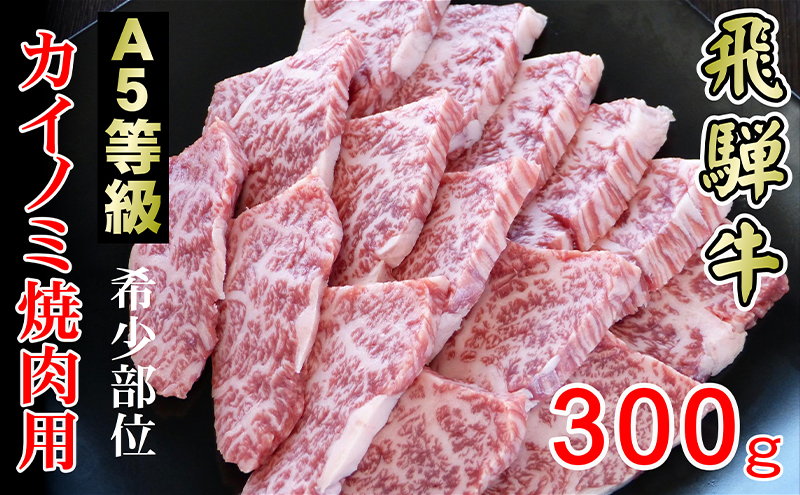 牛肉 飛騨牛 焼肉 希少部位 カイノミ 300g 黒毛和牛 A5 美味しい お肉 牛 肉 和牛 焼き肉 BBQ バーベキュー 【岐阜県輪之内町】