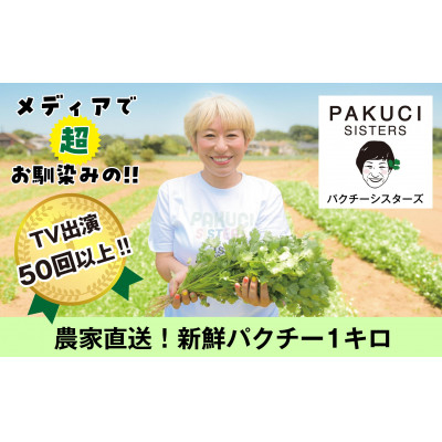 
『PAKUCI SISTERS』の新鮮パクチー 1kg【1497692】
