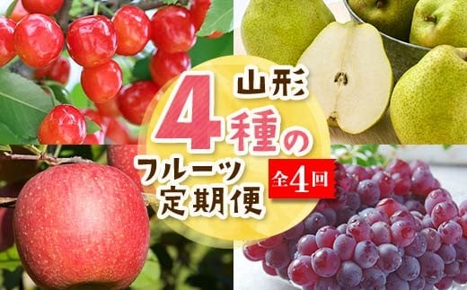 【2026年度 先行予約】4種のフルーツ定期便 全4回 さくらんぼ ぶどう 梨 りんご 果物 フルーツ FSY-2603
