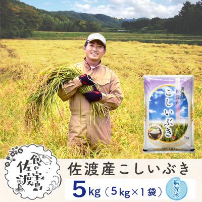 ふるさと納税 佐渡市 【新米予約】佐渡島産こしいぶき 無洗米5Kg 令和7年 〜農薬5割減〜