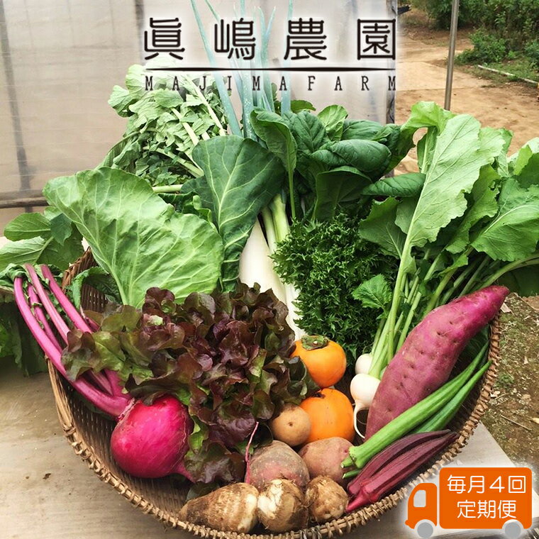 【ふるさと納税】毎月 定期便 4回 季節 おまかせ 野菜 6品〜8品 セット 詰め合わせ 眞嶋農園 沖縄及び離島へのお届けはできません