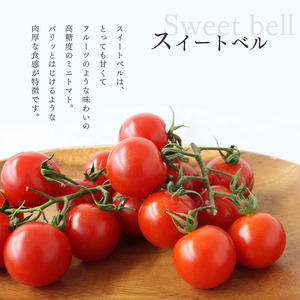 【定期便6回】 高糖度 ミニトマト スイートベル （ ヘタなし ） 150g × 12P | 野菜 トマト ミニトマト プチトマト トマト 高糖度 トマト とまと 小分け 君津とまとガーデン 定期便 