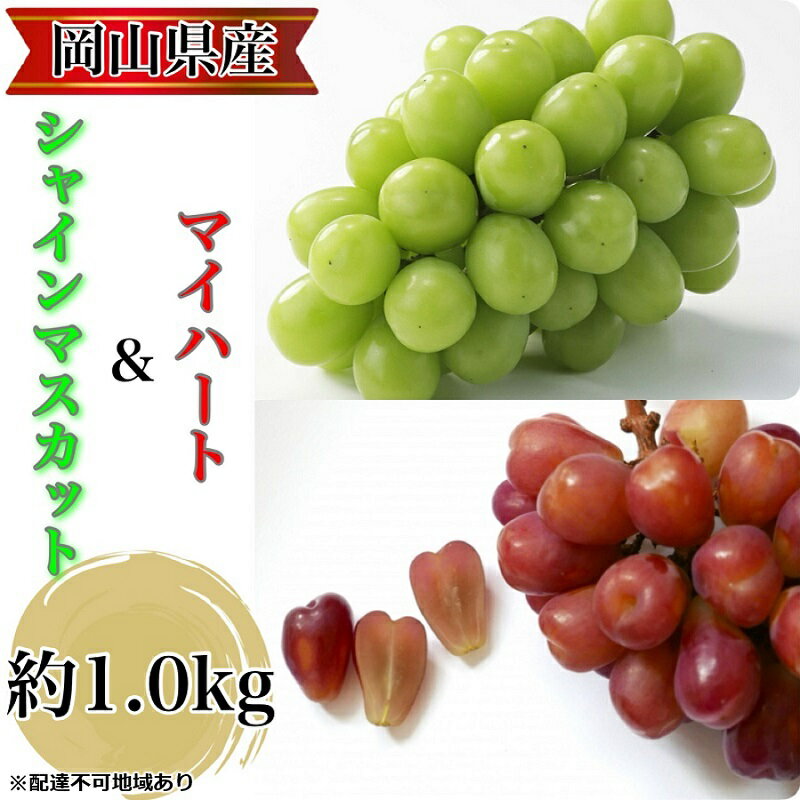【ふるさと納税】ぶどう 農家こだわりのシャインマスカット＆ハート型のマイハート 合計約1.0kg ブドウ 葡萄 岡山県産 国産 フルーツ 果物 ギフト 【 Nini farm 農家 直送 】　お届け：2025年9月1日～2025年10月15日