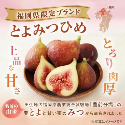ふるさと納税 宗像市 プレミアムいちじく「とよみつひめ」冷凍いちじく 大容量2kg【JAほたるの里】_HA0279 |  | 01