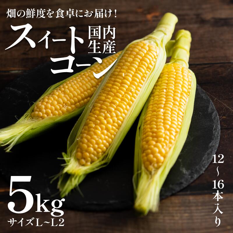 【ふるさと納税】 とうもろこし サニーショコラライラ 5kg 12から16本 極甘 スイートコーン コーン 野菜 やさい サラダ スープ コーンスープ 生 BBQ アウトドア 旬 朝採り 人気 お取り寄せ 先行予約 産地直送 期間限定 おすすめ 2025年5月発送予定