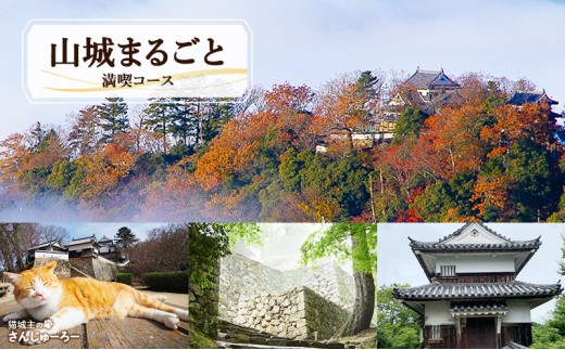 
                  [№5615-0613]体験 岡山 天空の山城 備中松山城スペシャルガイドツアー (山城まるごと満喫コース) A 高梁市 備中 松山城 ガイド ツアー 見学
                