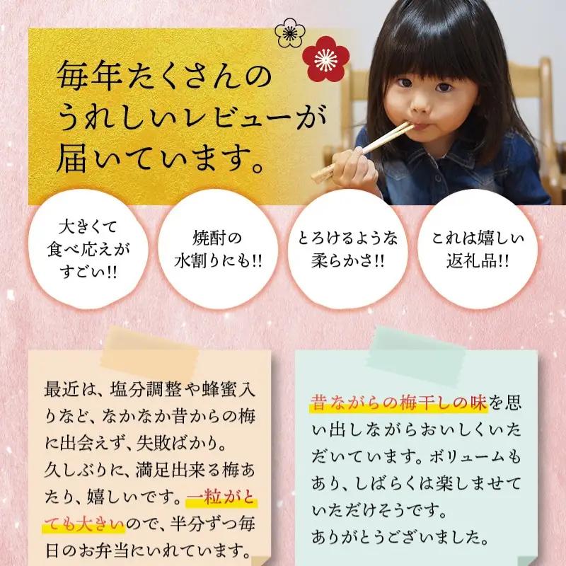 梅干し しそ風味梅干し 1kg【化粧箱タイプ】【inm201C】