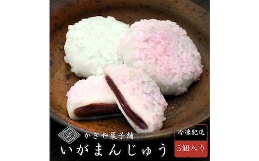 
										
										冷凍いがまんじゅう 5個入り 和菓子 菓子 饅頭 まんじゅう 銘菓 お茶菓子 冷凍
									