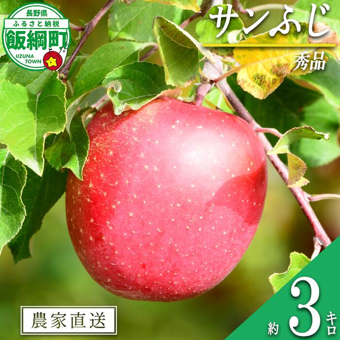 【ふるさと納税】 りんご 3Kg サンふじ 秀品 長野県 〔 リンゴ 林檎 ふじ 果物 フルーツ 信州 12月 年内発送 14000円 予約 〕※発送：2025年11月下旬～ 農家応援企画 長野 飯綱町 {***}