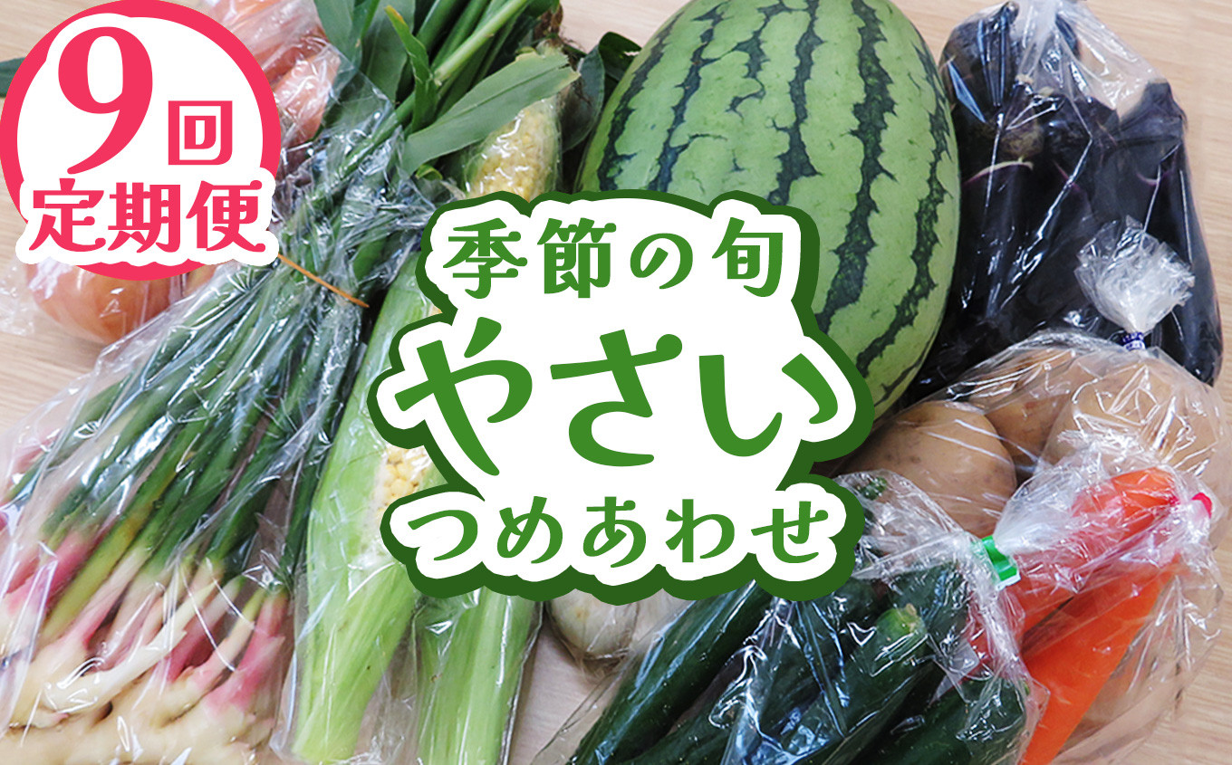 
                  【定期便9回】下野市産 季節の旬野菜詰め合わせ | 定期便 旬野菜 詰め合わせ 野菜セット 地元野菜 栃木県産 新鮮野菜 産地直送 野菜通販 無農薬野菜 季節野菜 朝採れ野菜 地場野菜 お取り寄せ 下野市野菜 野菜詰合せ 有機野菜 地元農家 栃木野菜 栃木県 下野市
                