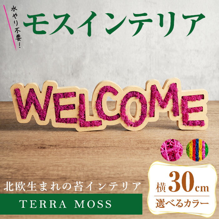 【ふるさと納税】 モスインテリア「WELCOME」＜横300mm・高さ80mm・幅15mm＞ フクシャ・カラフル 選べるカラー 観葉植物 苔 コケ テラモス インテリア 植物 【結び】 sh027-A・sh027-B