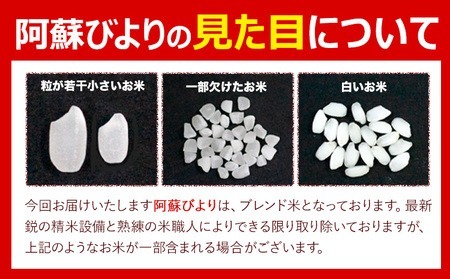 【12ヶ月定期便】阿蘇びより 白米 20kg (5kg×4袋)《お申込み翌月から出荷》 ｜国産米 人気米 熊本県産米 お米