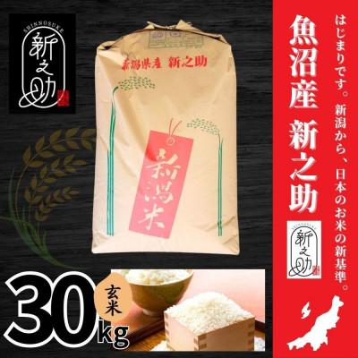ふるさと納税 十日町市 【令和7年産】魚沼産新之助(玄米)30kg