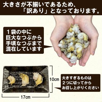 ふるさと納税 鹿部町 北海道鹿部町産 訳あり 前浜ボイルつぶ 900g(300g×3袋) KS09-4 |  | 01