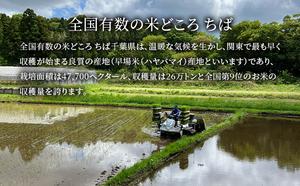 【定期2ヶ月】コシヒカリ　白米　10kg（5kg×2）令和7年産 お米 銘柄米 ご飯 おにぎり お弁当 和食 食卓 精米 国産 千葉県産 産地直送 