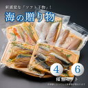 【ふるさと納税】 海の贈り物 干物 盛り合わせ 4〜6種類 セット 【送料無料】 ソフト干物 新感覚 季節の干物 旬 魚 干物 海鮮 魚介類 鯖 鯛 ホタテ サーモン 京都 舞鶴市