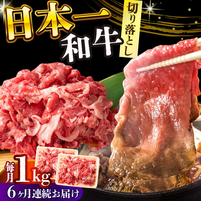 【ふるさと納税】【6回定期便】【A4〜A5】長崎和牛 切り落とし 1kg(500g×2p）【株式会社 MEAT PLUS】[DBS055] 便利 牛肉 和牛 わぎゅう ぎゅうにく 切り落とし きり落とし きりおとし 国産 国産和牛