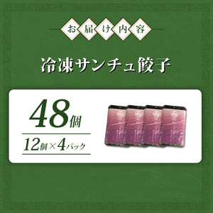 サンチュ餃子 48個 餃子