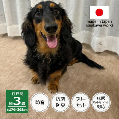 【ふるさと納税】カーペット 江戸間 3畳 防音 ペット対応 厚手 ナンテン 176×261cm ベージュ 日本製【1525633】