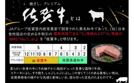  PB9 佐賀牛100％の贅沢ハンバーグ 150g×7個 手造り 佐賀牛 国産牛 和牛 ブランド牛 牛肉 肉 おすすめ 佐賀県 太良町