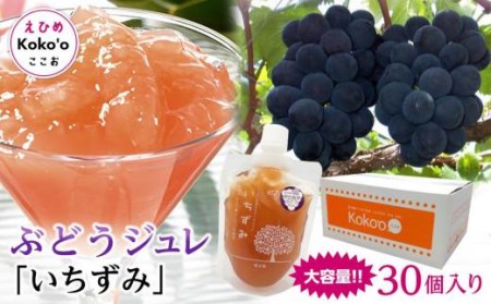 【ぶどうジュレ】３０個入り 「いちずみ」 (ココオ簡易BOX入り)  デザート ギフト ぶどう  葡萄 デザート【KK0831】