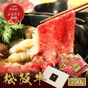 【ふるさと納税】 【和牛セレブ】 松阪牛 すき焼き ・ しゃぶしゃぶ （モモ） 750g 肉 牛 牛肉 和牛 ブランド牛 高級 国産 霜降り 冷凍 ふるさと 人気 モモ肉