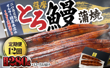 2176-1 【江口商店監修】薩摩とろ鰻蒲焼二尾 280g（140g×2）＜12ヶ月定期＞ KN084-T04 魚 鰻