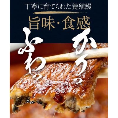 ふるさと納税 西尾市 三河一色産うなぎ使用 うなぎおにぎり5個・R011 |  | 02