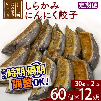 ふるさと納税 北秋田市 【定期便12ヶ月】しらかみにんにく餃子 60個 (30個×2パック) |genk-020312