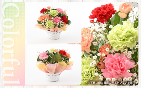 【母の日ギフト】 選べるカラー 季節のフラワーアレンジメント L (カラフル) （母の日対応） 【お花 フラワー アレジメント 花束 ギフト 生花 プレゼント 花束 花 記念日 お祝い】 [B-207