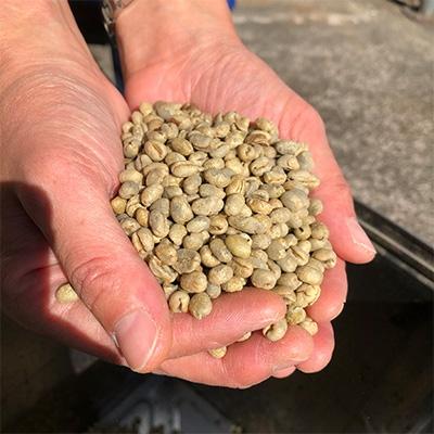 ふるさと納税 魚津市 【豆】サントスピーベリー:1000g(自家焙煎コーヒーとみかわ) |  | 01