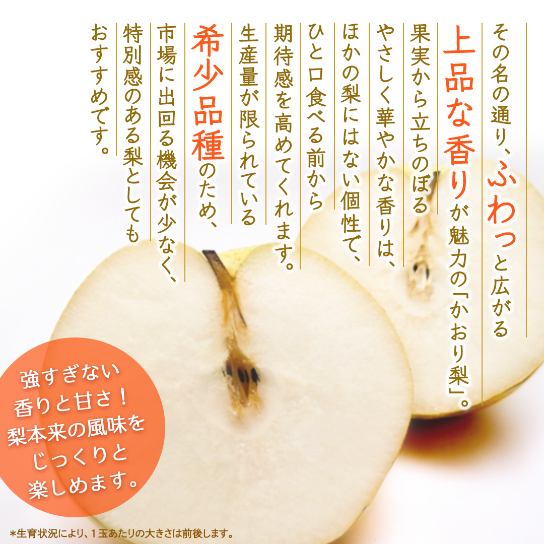 かおり 約5kg 【2026年9月より発送開始】（茨城県共通返礼品 [梨]：大子町産） 高糖度 ギフト 贈り物 プレゼント フルーツ なし ナシ 和梨  梨 果実 旬のフルーツ お取り寄せ くだもの 